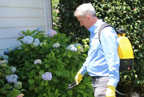 Perimeter mosquito application near flowering shrubs at a Reston home in the South Lakes neighborhood near Lake Thoreau
