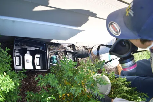 Technician inspecting tamper-proof rodent bait station at Northern Virginia home