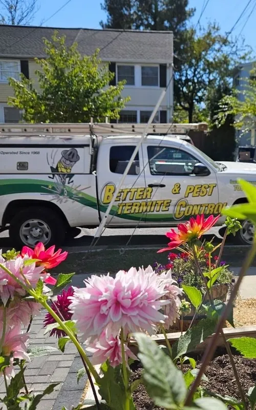 Better Termite and Pest Control truck arriving at a Sterling neighborhood home